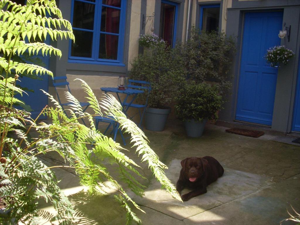 Reglisse Et Pain D'Epices - Chambres D'Hotes Honfleur Eksteriør billede